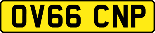 OV66CNP