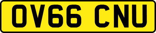 OV66CNU