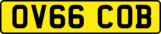 OV66COB