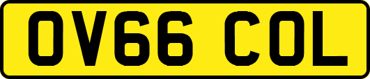OV66COL