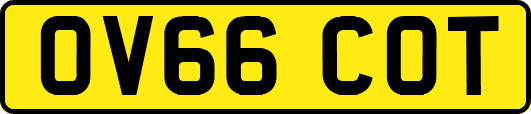 OV66COT