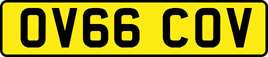 OV66COV