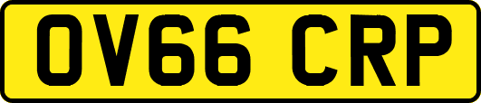OV66CRP