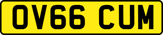 OV66CUM