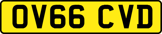 OV66CVD