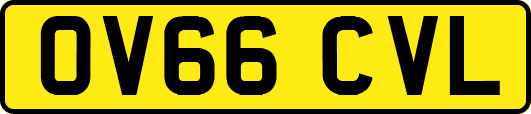 OV66CVL