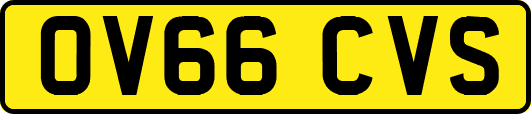 OV66CVS