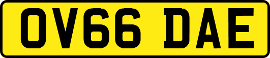 OV66DAE