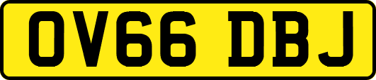 OV66DBJ