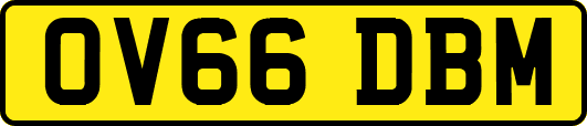 OV66DBM