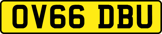 OV66DBU