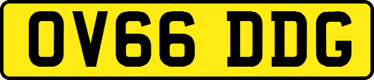 OV66DDG