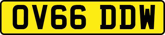 OV66DDW