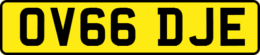 OV66DJE