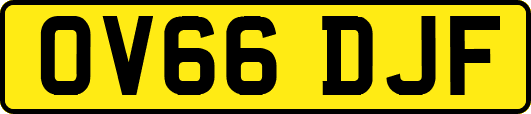 OV66DJF