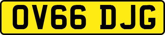 OV66DJG