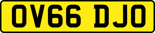 OV66DJO