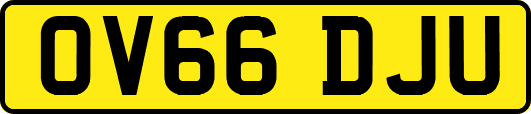 OV66DJU