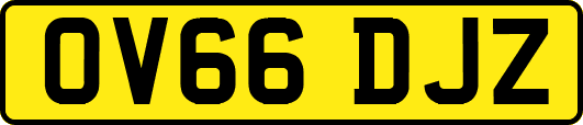 OV66DJZ