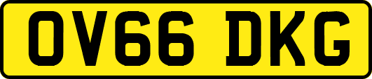 OV66DKG