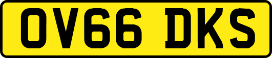 OV66DKS