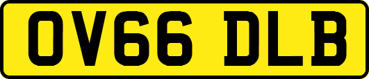 OV66DLB