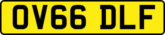 OV66DLF