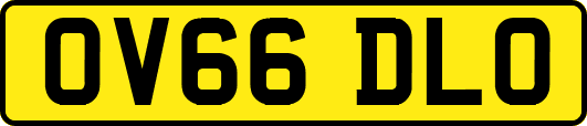 OV66DLO