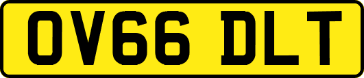 OV66DLT