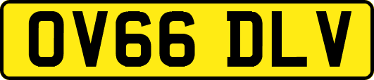 OV66DLV