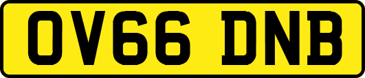 OV66DNB