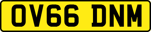 OV66DNM