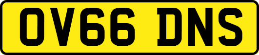 OV66DNS