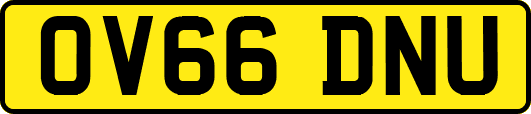OV66DNU