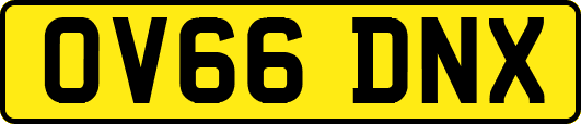 OV66DNX