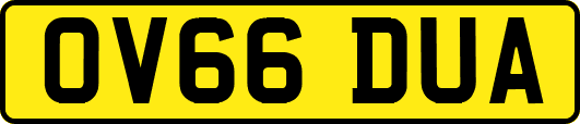 OV66DUA