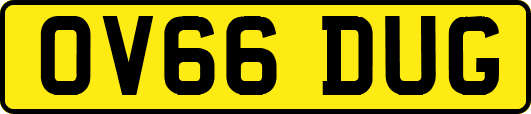 OV66DUG