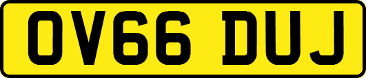 OV66DUJ