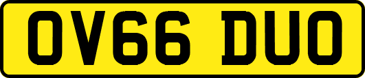 OV66DUO