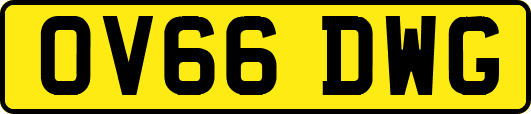 OV66DWG
