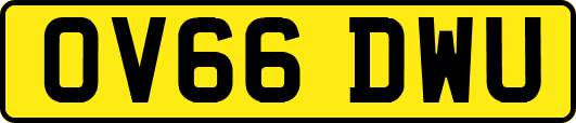 OV66DWU