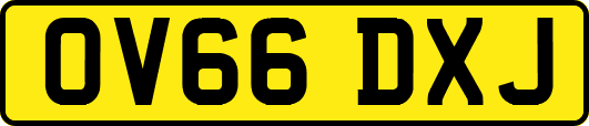 OV66DXJ