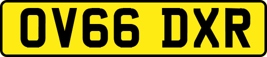 OV66DXR