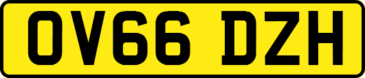 OV66DZH