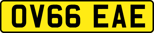 OV66EAE