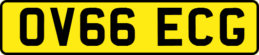 OV66ECG