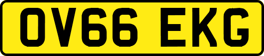 OV66EKG