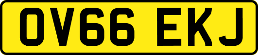 OV66EKJ