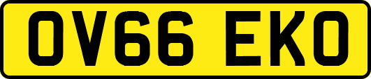 OV66EKO