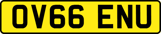 OV66ENU
